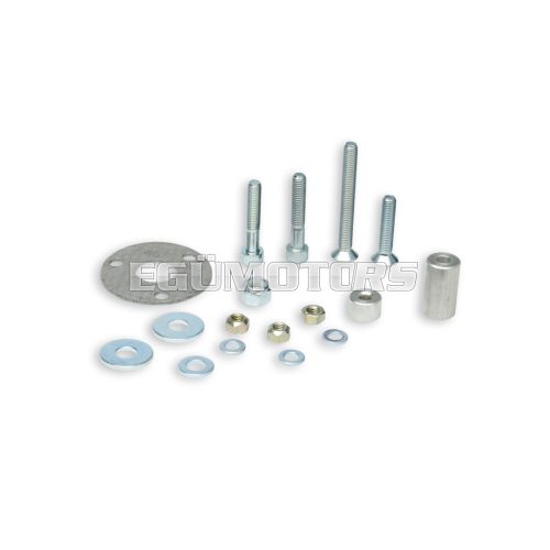 Malossi BOLT/GASKETS KIT for MHR REPLICA/ART OF PERFORMANCE