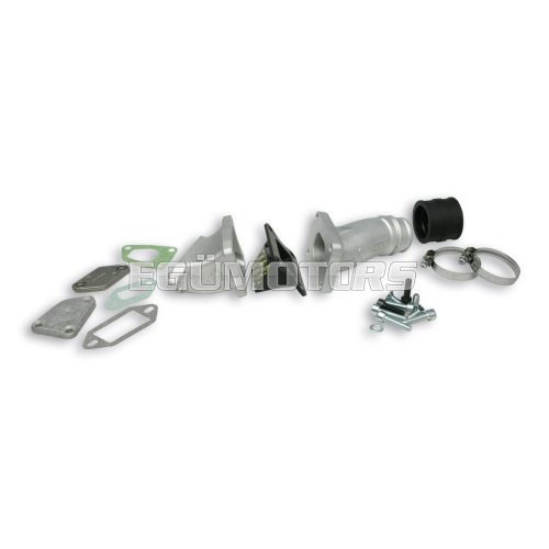 Malossi REED INT.MANIF.KIT (cyl.) VHST 28 VESPA ET3 Primavera 125