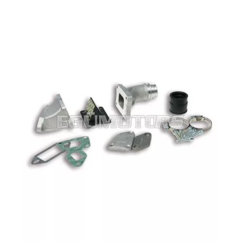 Malossi REED INT.MANIF.KIT (cyl.) PHBL 25 VESPA ET3 Primavera 125