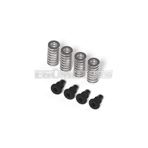 Malossi KIT with DAMPER SPRINGS and SCREWS for SPRING DRIVES