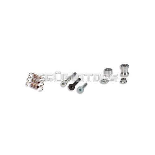 Malossi BOLT KIT for EXHAUST SCOOTER RACING MHR