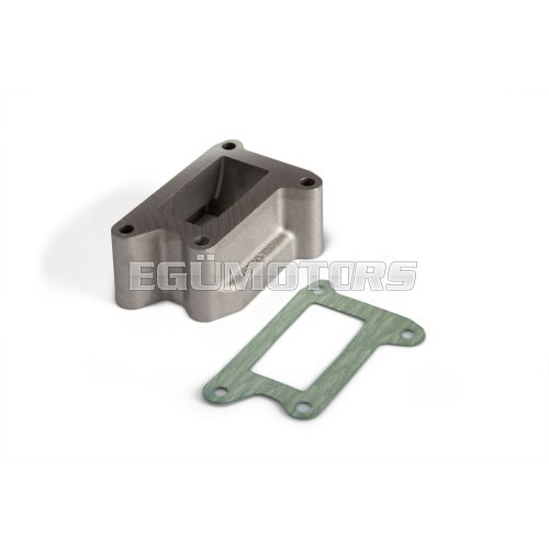 Malossi VALVE SEAT KIT and GASKET for VR-One CRANKCASES