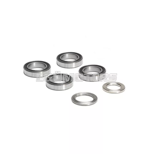 Overhaul kit for swing arm