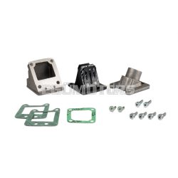   Malossi INTAKE MANIFOLD KIT for 21 OVERSIZE REED VALVE PHBG 21 PEUG.103