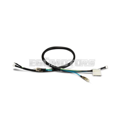 WIRED CABLE VESPower