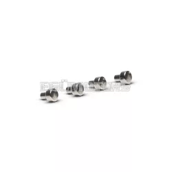 Pivot pins kit