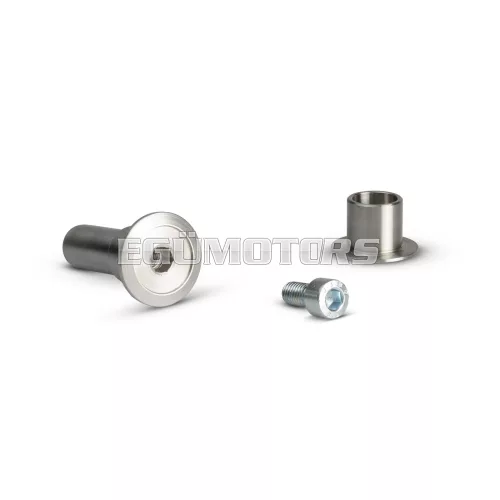 Fastening bolt for swing arm