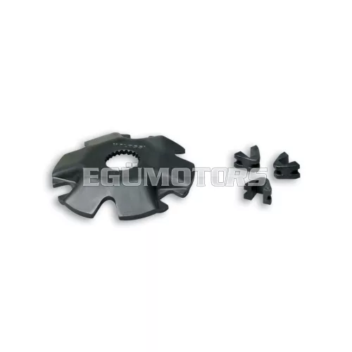 Malossi FIXED COVER for MULTIVAR