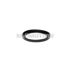 TORSION CONTROLLER spring guide for clutches