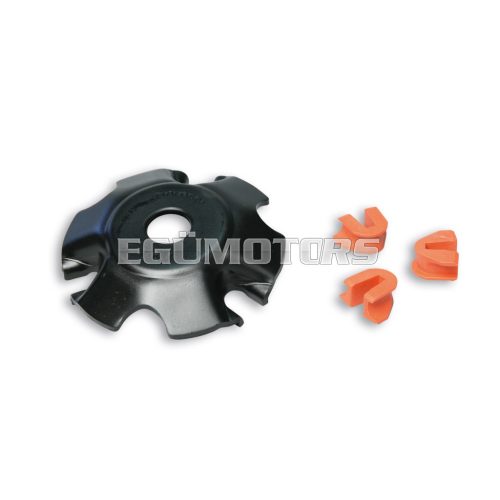 Fixed cover for MULTIVAR variator