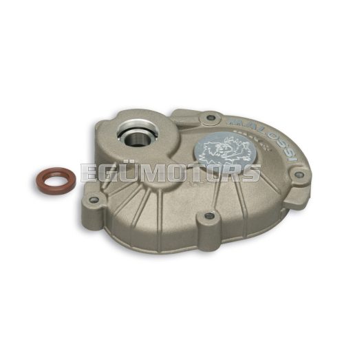 Malossi ROLLER CRANKCASE MHR PIAGGIO