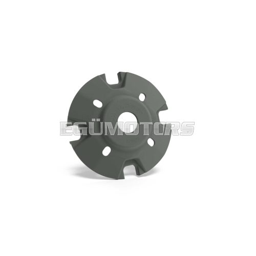 Malossi FIXED COVER for MULTIVAR