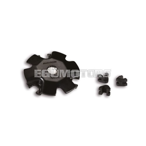 Fixed cover for MULTIVAR variator