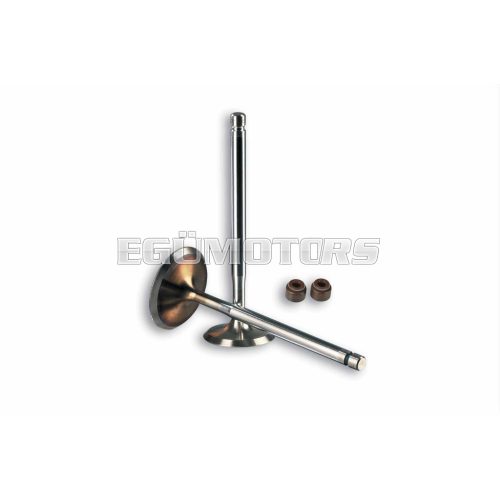 Malossi 4 STROKE VALVE