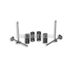   Malossi 4 STROKE VALVE with SPRINGS for ORIGINAL CYLINDER HEAD
