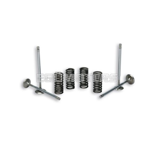 Malossi 4 STROKE VALVE with SPRINGS for ORIGINAL CYLINDER HEAD