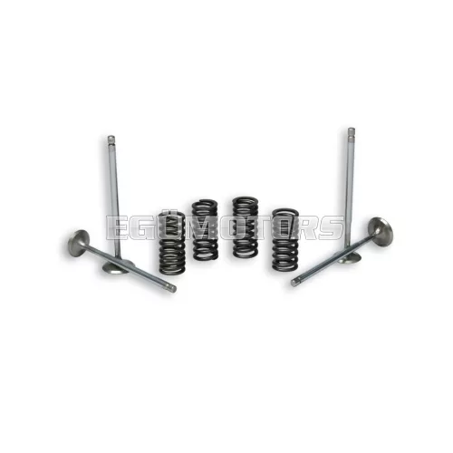 Malossi 4 STROKE VALVE with SPRINGS for ORIGINAL CYLINDER HEAD