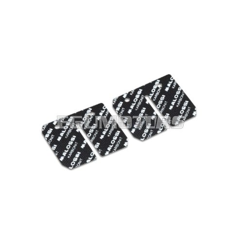 Malossi 2 KARB. PETALS th.0,30 VL6