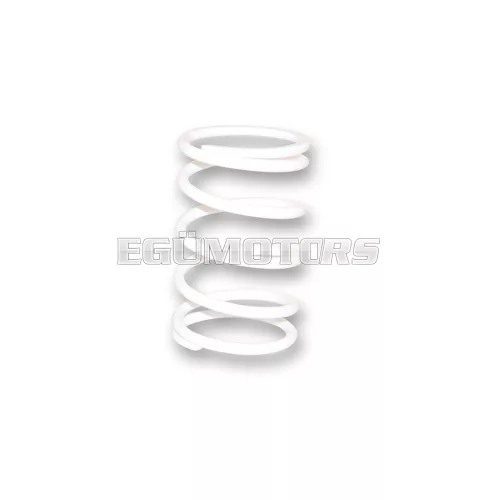 Malossi WHITE VARIATOR ADJUSTER SPRING ext.65,7x170mm thread 4,7mm 4,2k