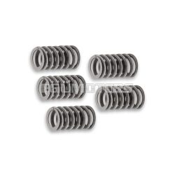 Malossi REINFORCED SPRING SET for CLUTCH