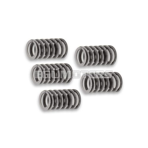 Malossi REINFORCED SPRING SET for CLUTCH
