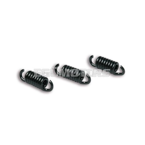 Malossi 3 SPRINGS for MAXI DELTA CLUTCH MHR