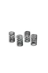 Malossi REINFORCED SPRING SET ext.15 - leng. 31,5 mm for CLUTCH