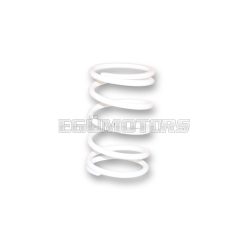   Malossi WHITE VARIATOR ADJUSTER SPRING ext.81x130mm thread 7mm 15k