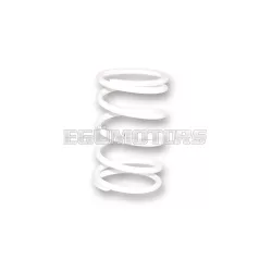   Malossi WHITE VARIATOR ADJUSTER SPRING ext.81x130mm thread 7mm 15k