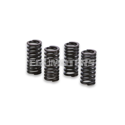Malossi 4 SPRINGS for ENGINE VALVES est.18.4x40 mm filo 2,8 mm