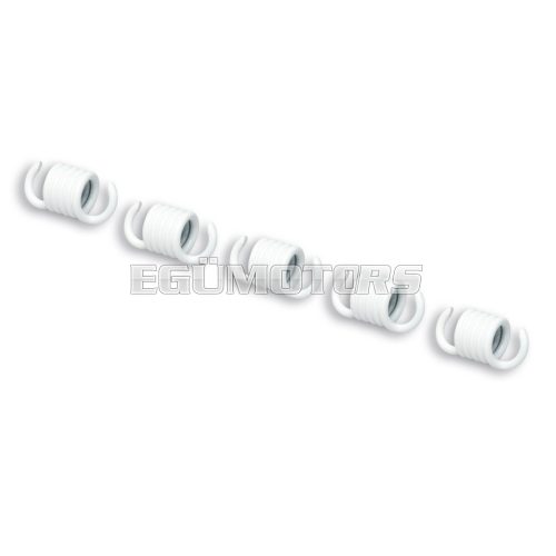 Malossi 5 WHITE CLUTCH SPRINGS 2,2