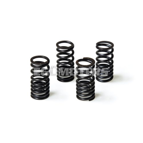 Malossi 4 SPRINGS for ENGINE VALVES ext.21,9x44,5 mm thread 3 mm