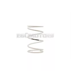   Malossi WHITE VARIATOR ADJUSTER SPRING ext.67,4x107mm thread 5,2mm 9,5k