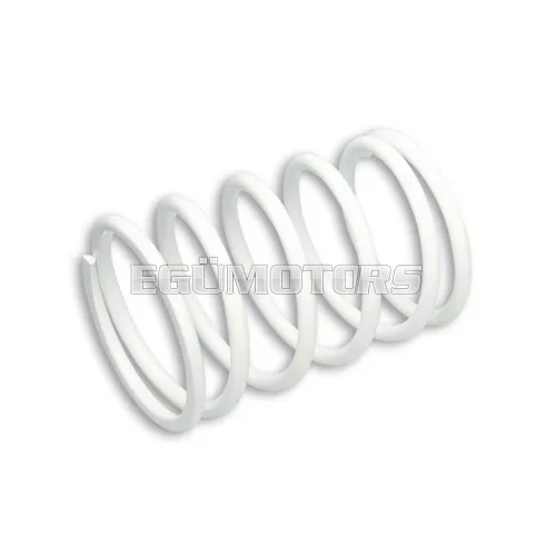 Malossi WHITE VARIATOR ADJUSTER SPRING ext.80,4x115mm thread 6,5mm 11,2k