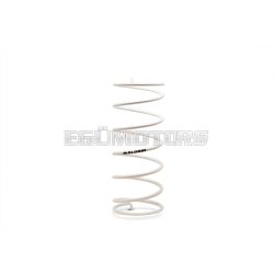   Malossi WHITE VARIATOR ADJUSTER SPRING ext.56,8x138mm thread 3,8mm 2,75k
