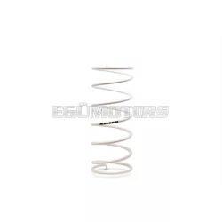   Malossi WHITE VARIATOR ADJUSTER SPRING ext.56,8x138mm thread 3,8mm 2,75k