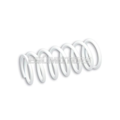 Malossi SPRING for Malossi FRONT SHOCK ABSORBER ext.57,7x132mm thread 5,7mm k 1,4
