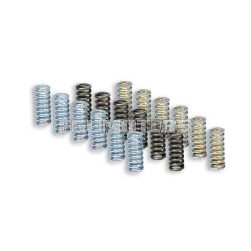 Malossi RACING SPRING SET for ORIGINAL CLUTCH