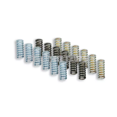 Malossi RACING SPRING SET for ORIGINAL CLUTCH