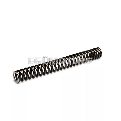 Malossi INNER SPRING for F37R FORK ext.30x252mm thread 4,6mm k 1,25