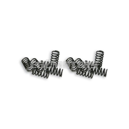 Malossi 12 CLUTCH SPRINGS P. APE FL/ VESPA PK FL/ PK HP FL 50- PK FL 125