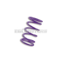  Malossi VIOLET VARIATOR ADJUSTER SPRING ext.70.75x105mm thread 6.5 mm 20k