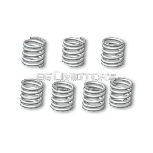 Malossi CLUTCH SPRINGS for VESPA PX 125 - 150 2T euro 0-1 - PX E 200