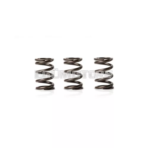 3 springs for engine valves con Ø esterno 18x28,2 mm - Ø filo 2,5 mm
