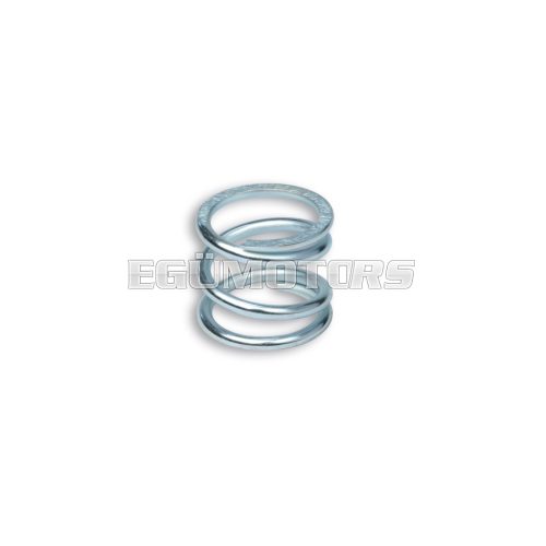 Malossi REINFORCED CLUTCH SPRING PIAGGIO APE/VESPA 50-125