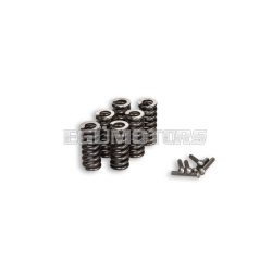 Malossi SPRINGS KIT for SPRING DRIV. VESPA