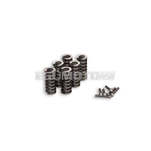 Malossi SPRINGS KIT for SPRING DRIV. VESPA
