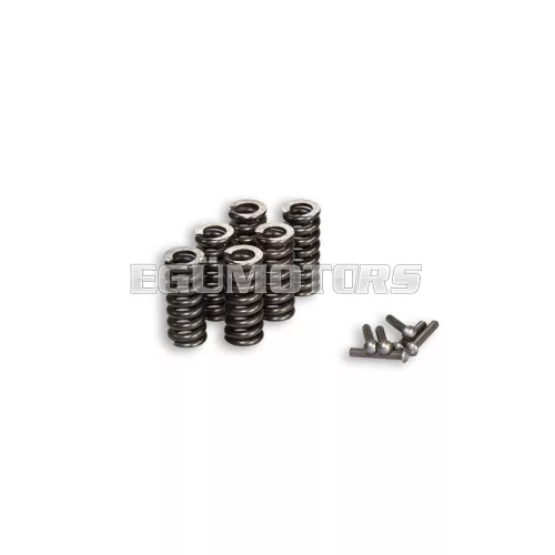 Malossi SPRINGS KIT for SPRING DRIV. VESPA