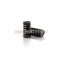 Malossi 2 CLUTCH SPRINGS GILERA 125