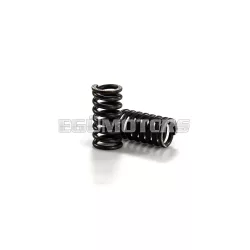 Malossi 2 CLUTCH SPRINGS GILERA 125